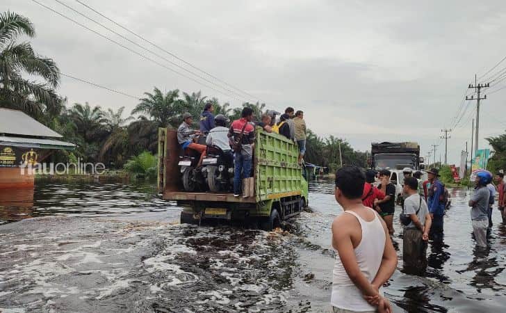 Banjir pelalawan4