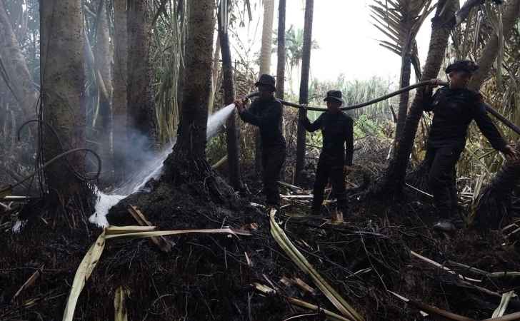 Brimob-Polda-Riau-Turun-Tangan-Cegah-Karhutla-Meluas-di-Siak.jpg