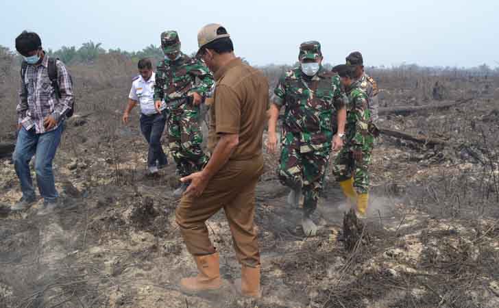 Bupati Rohil, Suyatno Tinjau Karhutla Bersam Danrem 