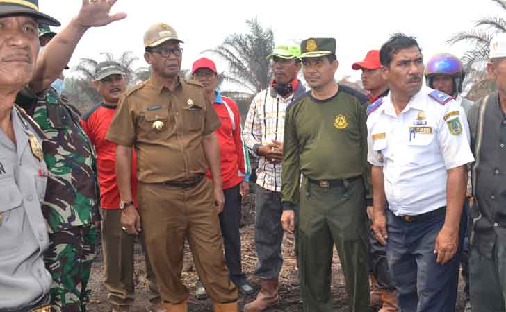 Bupati Rohil, Suyatno Tinjau Karhutla Bersam Danrem 