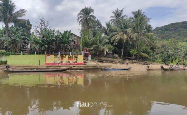 Desa Gajah Bertalut