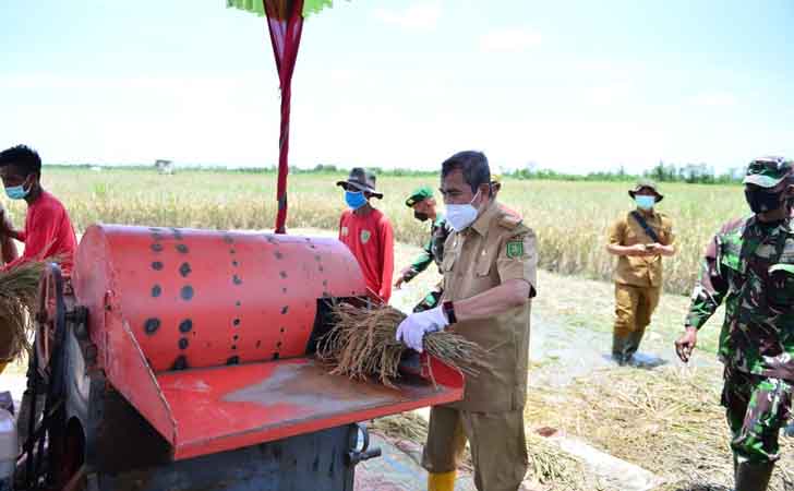 Gubernur Riau dan Forkopimda Panen Raya