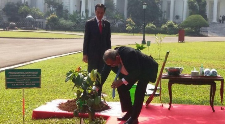 Presiden Federasi Serikat Mikronesia menanam pohon di Istana Bogor