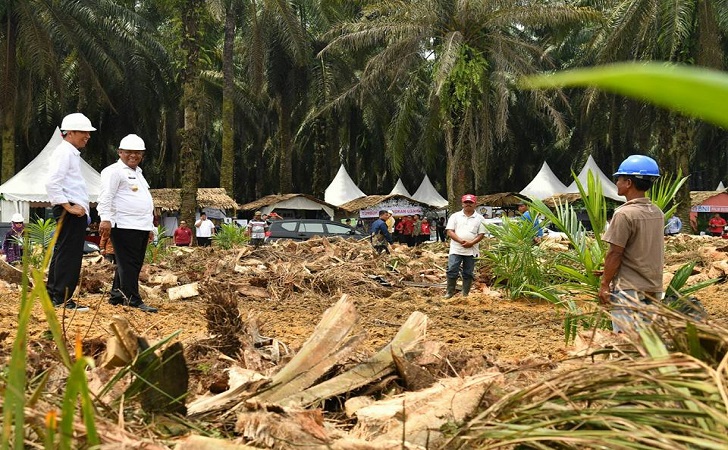 Jokowi resmikan peremajaan Sawit2