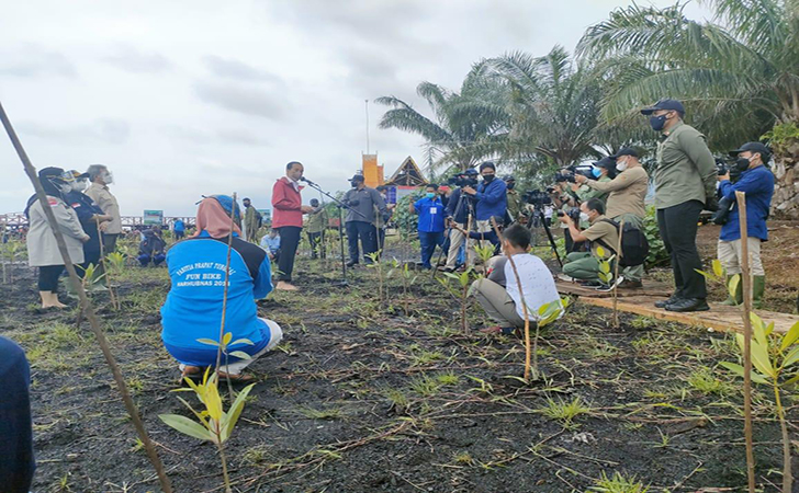 Jokowi tanam mangrove3