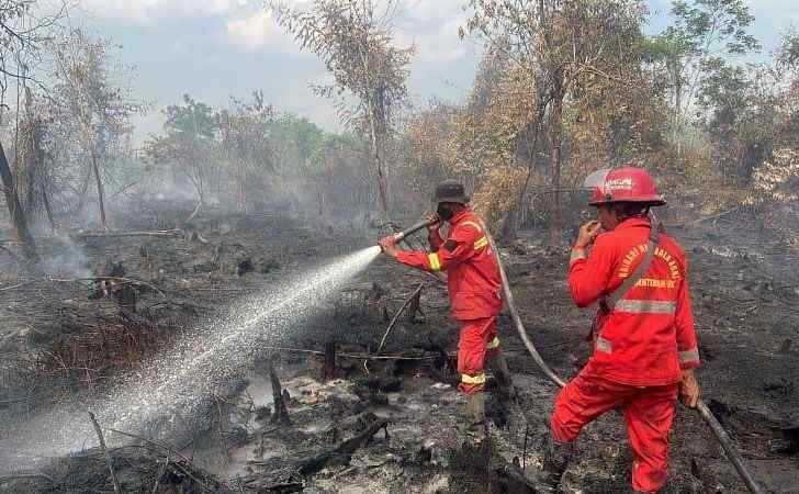 Kabut-Asap-Selimuti-Pekanbaru-BPBD-Riau-Usul-Tambahan-Helikopter-Water-Bombing.jpg