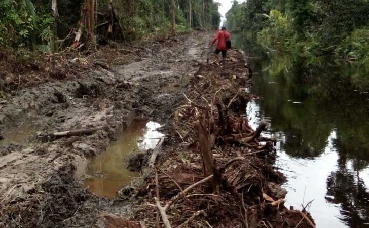 Kanal di Lahan PT Arara Abadi, 