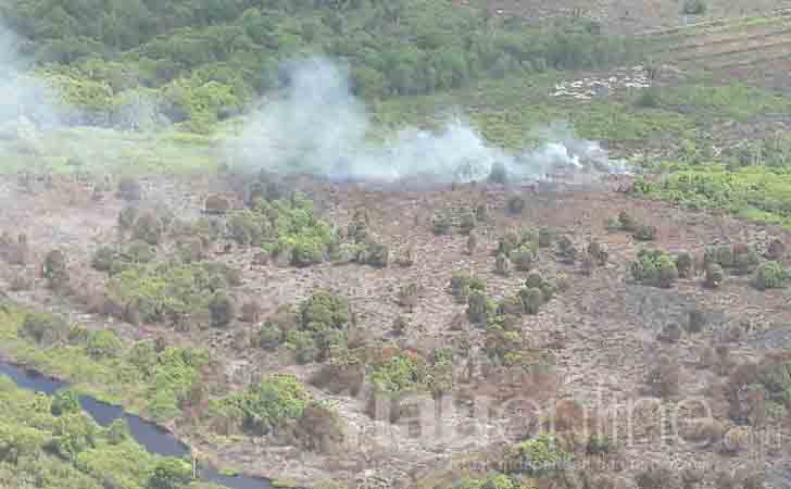 Kebakaran Hutan dan Lahan di Mempura, Siak 