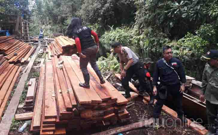 Kayu Olahan di Cagar Biosfer Siak Giam Kecil 