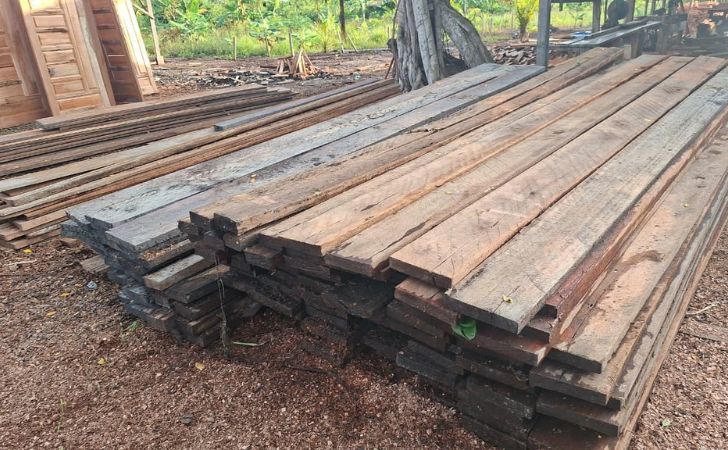 Kayu-ilegal-disita-di-sinaboi.jpg