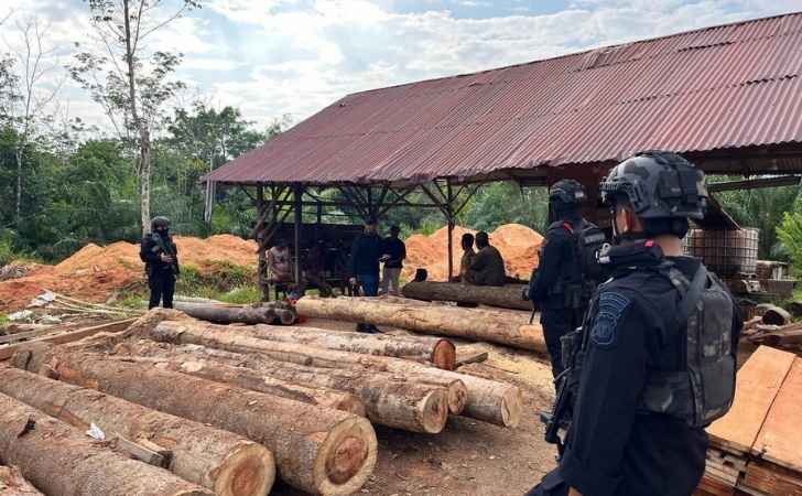 Kayu-olahan-ilegal2.jpg