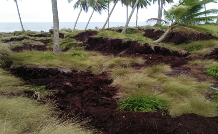 Kebun warga amblas di bengkalis