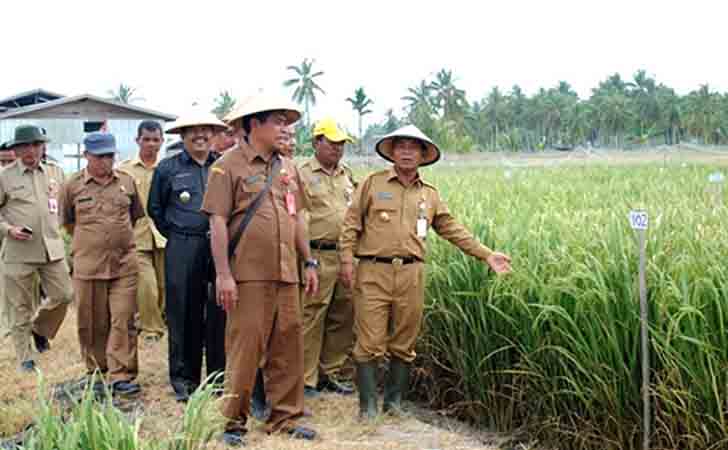 Bupati Pelalawan HM Harris Tinjau