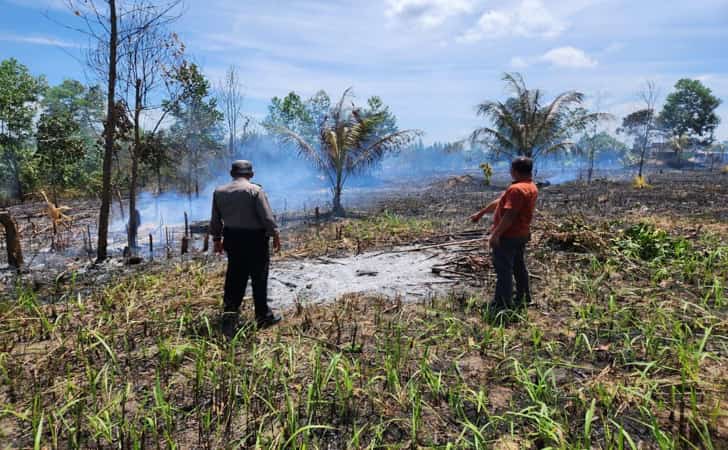 Lahan dibakar di bengkalis1