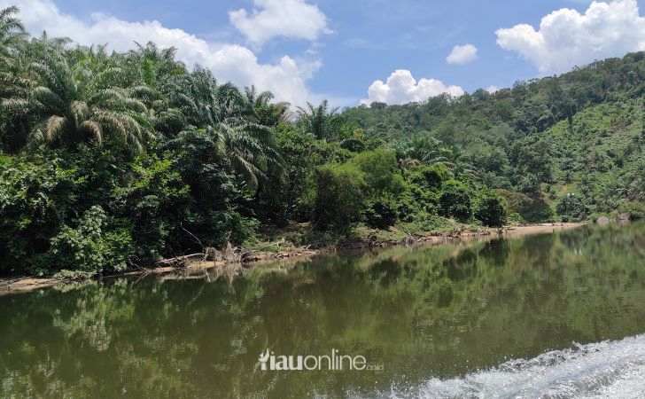 Masyarakat Adat Gajah Bertalut: Kehidupan Semakin Tercerabut dari Hutan dan Sungai 2