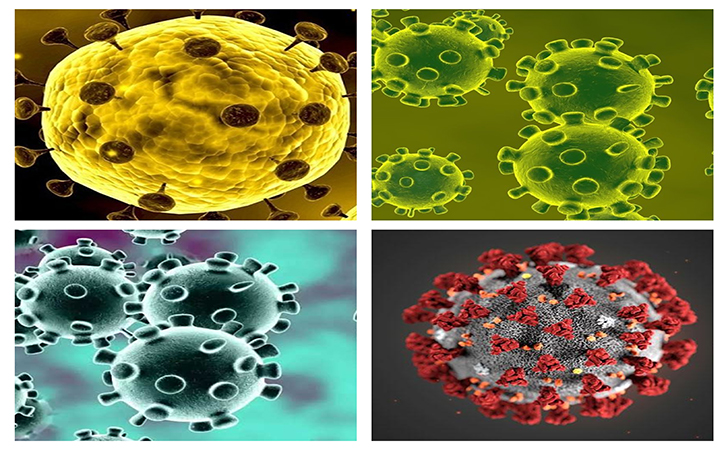 Penampakan virus corona dalam versi berbeda