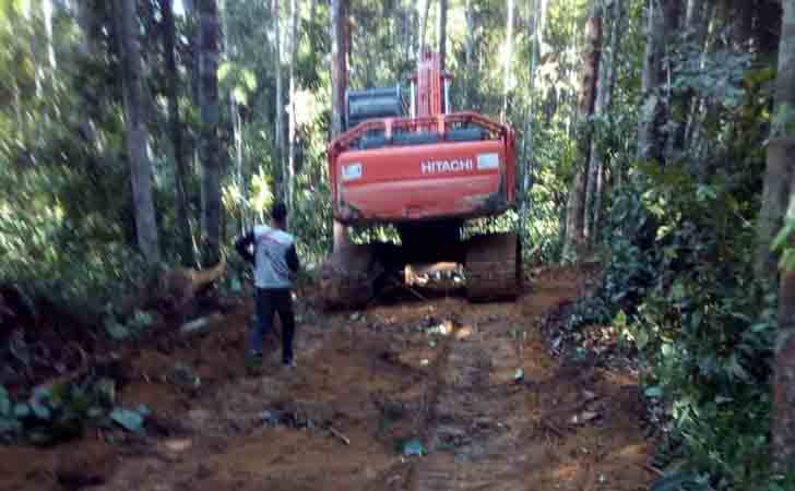 Perambahan di Bukit Betabuh