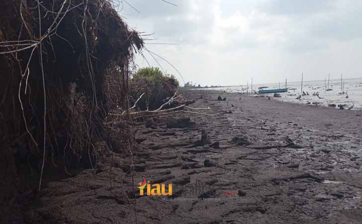 Pulau Bengkalis Abrasi