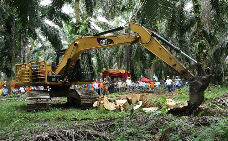 Simbolik Tumbang Perdana