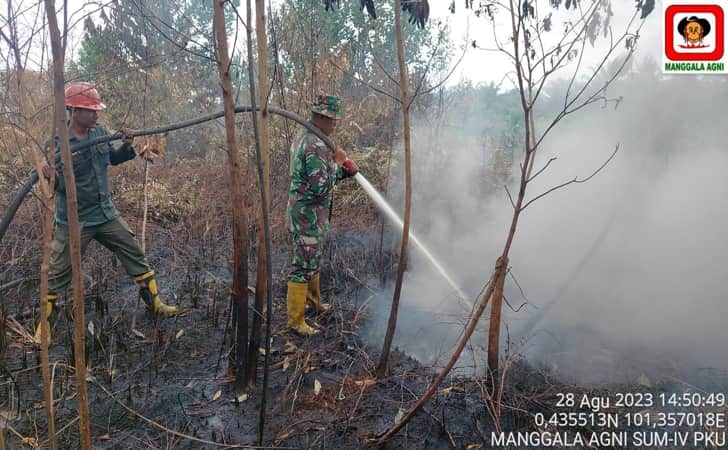 TNI - Manggala agni padamkan karhutla