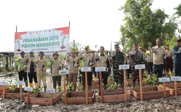 Tanam-bibit-mangrove-di-meranti.jpg