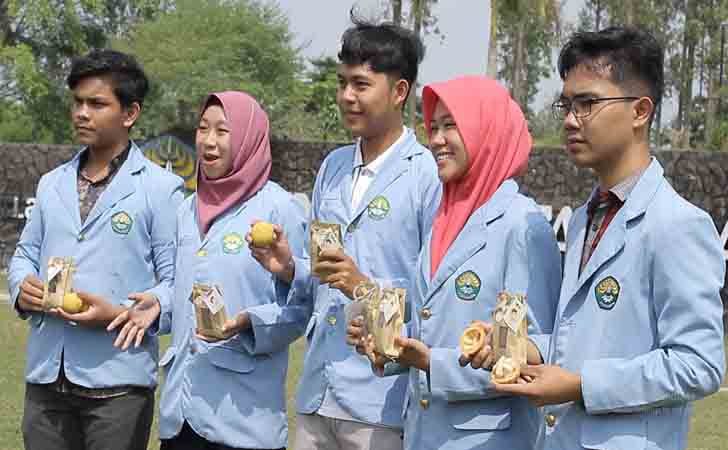 Tim Buah Sentul atau Kecapi