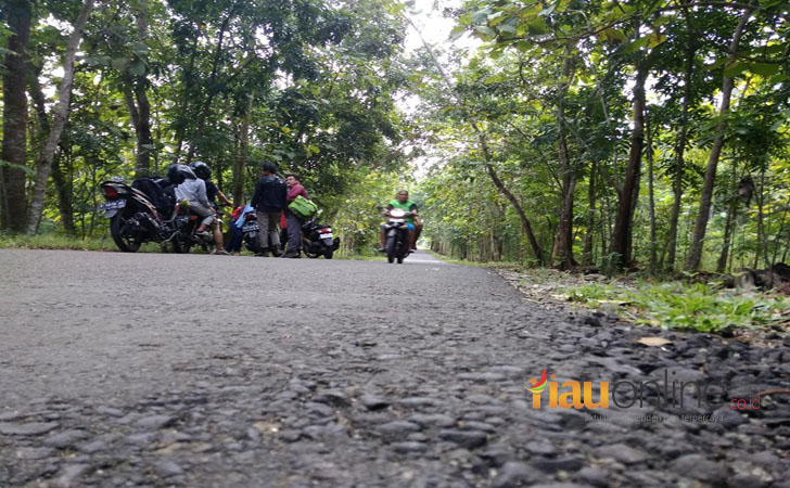 Unit Manajemen Hutan Rakyat2