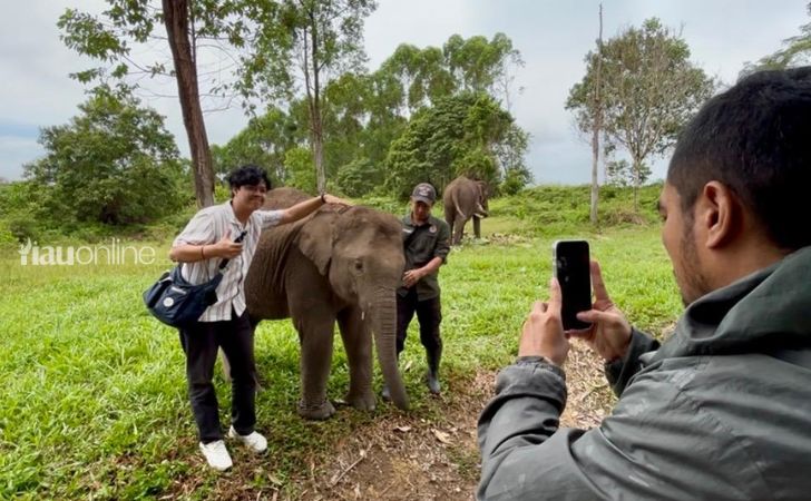 gajah ukui4