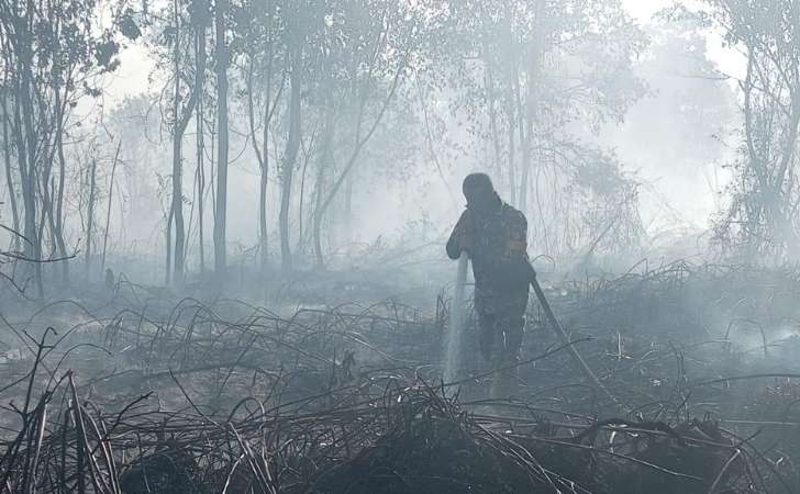 karhutla-di-jalan-perwira-kampar.jpg