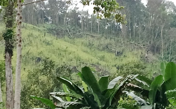 ladang padi masyarakat3