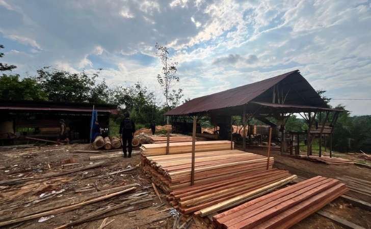 sawmill-ilegal-di-Desa-Sungai-Sarik.jpg