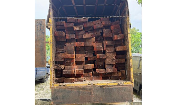 10-meter-kubik-kayu-olahan-ilegal.jpg