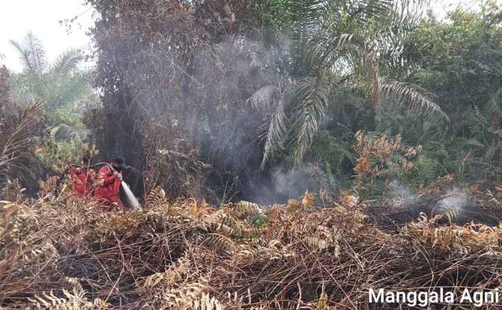 15.477-Hektare-Lahan-Terdampak-Karhutla-di-Riau-hingga-Juni-2026-dan-Masuk-Prioritas-Nasional.jpg