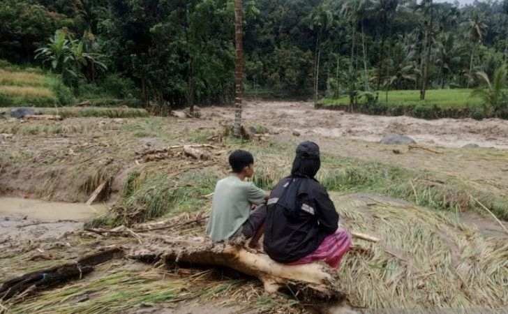 341-Hektare-Sawah-Rusak-Akibat-Bencana-Hidrometeorologi-di-Padang-Pariaman.jpg