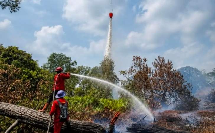 5-Mitos-Tentang-Karhutla-yang-Masih-Dipercaya-Walhi-Ungkap-Fakta-di-Baliknya.jpg