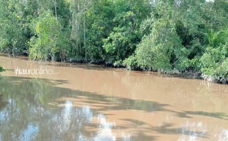 Air-Sungai-Lanjung-Tercemar-Anak-Anak-di-Siak-Tak-Bisa-Sekolah.jpg