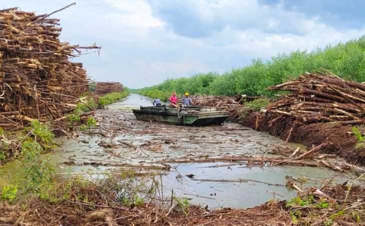 Alasan-untuk-Basahi-Gambut-PT-BKM-Gunakan-Air-Alam-untuk-Lansir-Akasia.jpg