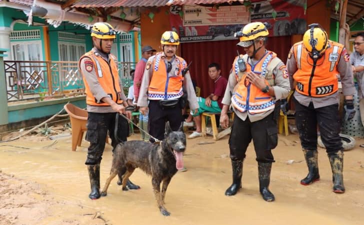 Anjing-pelacak-di-natuna2.jpg