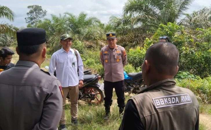 BBKSDA-Riau-Telusuri-Laporan-Kemunculan-Harimau-Sumatera-di-Kampar-Kiri-Tengah.jpg