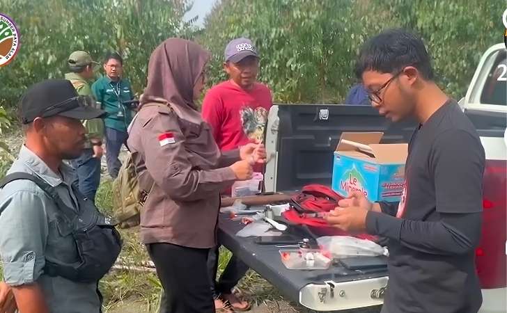 BBKSDA-Riau-dan-RAPP-Selamatkan-Gajah-Sumatra-Lansia-Kondisinya-Kini-Stabil.jpg