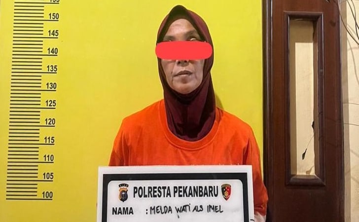 Baby-Sitter-pelaku-penipuan.jpg