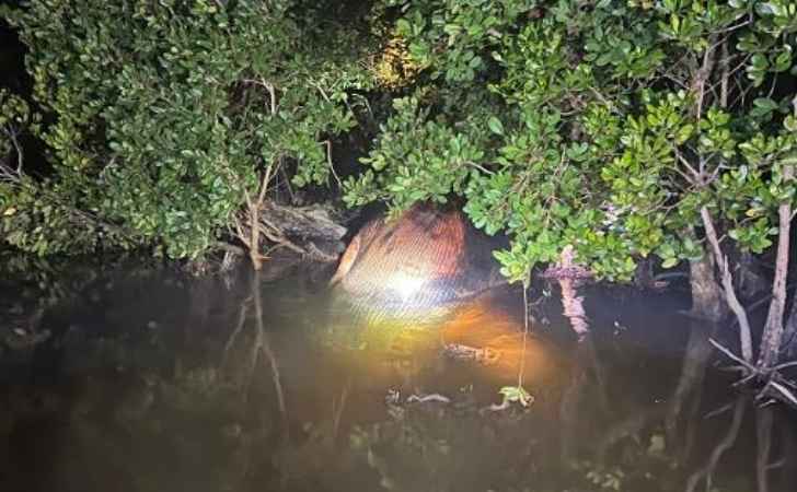 Bangkai-Paus-Sepanjang-8-Meter-Ditemukan-di-Pantai-Bakau-Indragiri-Hilir.jpg