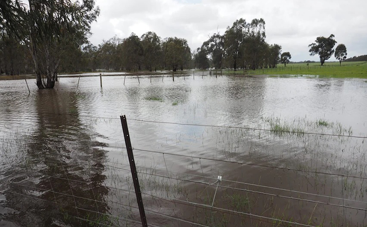 Banjir-Australia.jpg