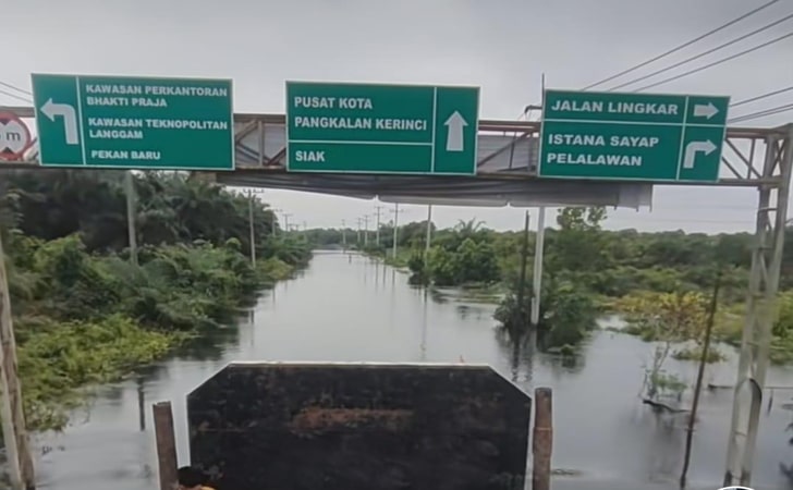 Banjir-Pelalawan11.jpg