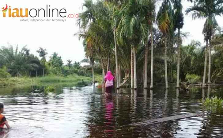 Banjir-di-Inhil.jpg