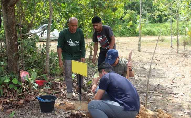 Belantara-Foundation-Gandeng-Mitra-Jepang-Restorasi-Hutan-Tahura-SSH.jpg