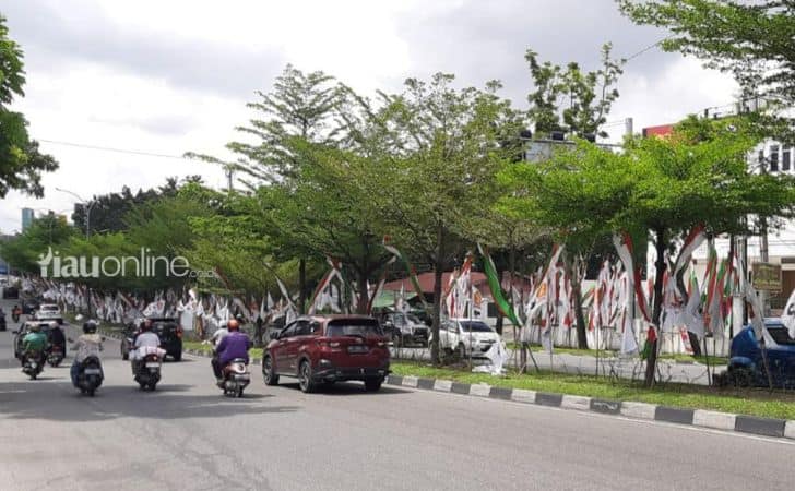 Bendera-Gerindra-di-median-jalan.jpg