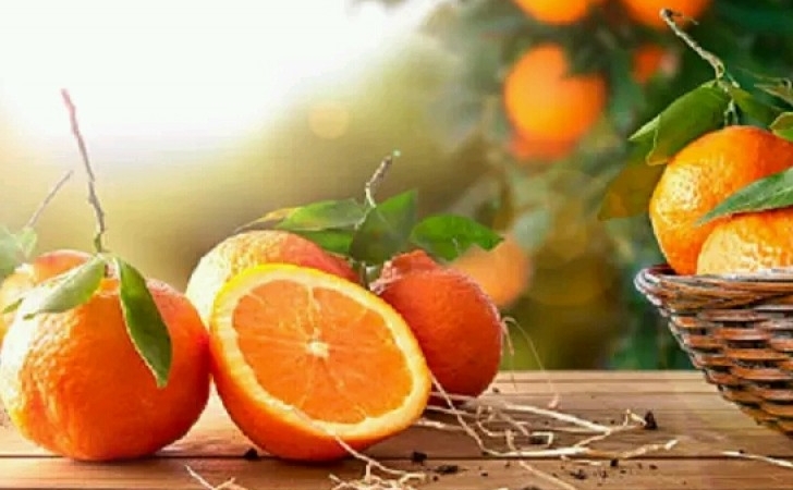 Buah-jeruk.jpg