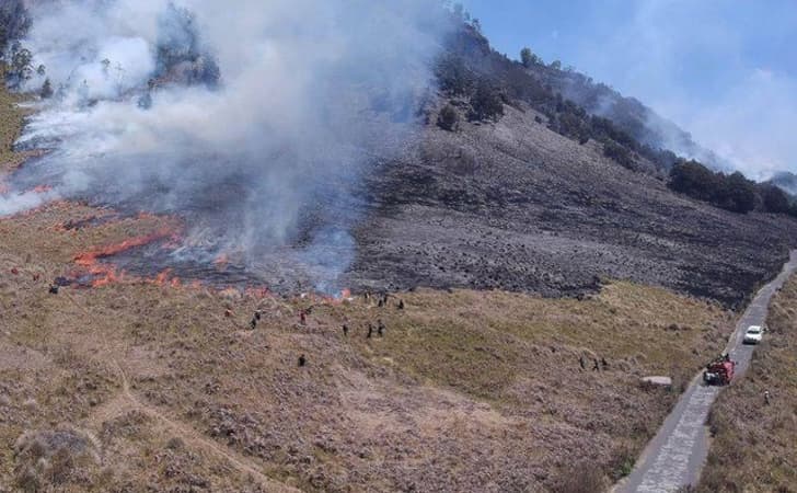 Bukit-teletubbies-terbakar.jpg