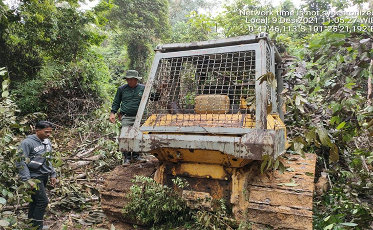 Buldozer-Illegal-logging.jpg